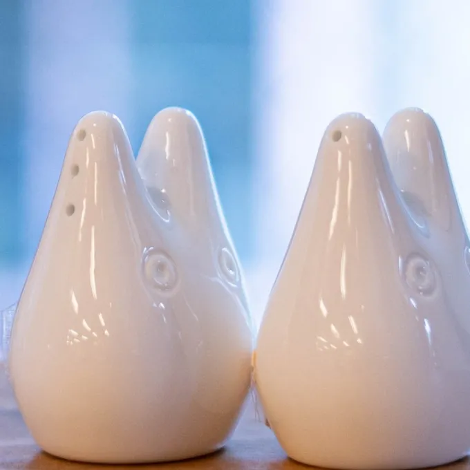 Maison Ghibli Cuisine Et Table|Salière et Poivrière Totoro – Mon Voisin Totoro
